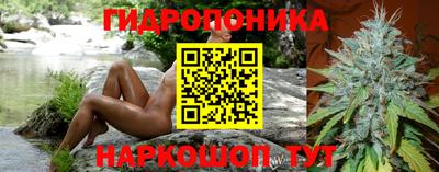 PSILOCYBIN Кумертау
