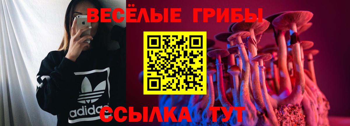 Псилоцибиновые грибы Psilocybine cubensis  Вход с VPN  Калининград 